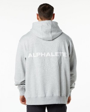 Alphalete Unity Hoodie Heren Grijs | 52CXAZVIK