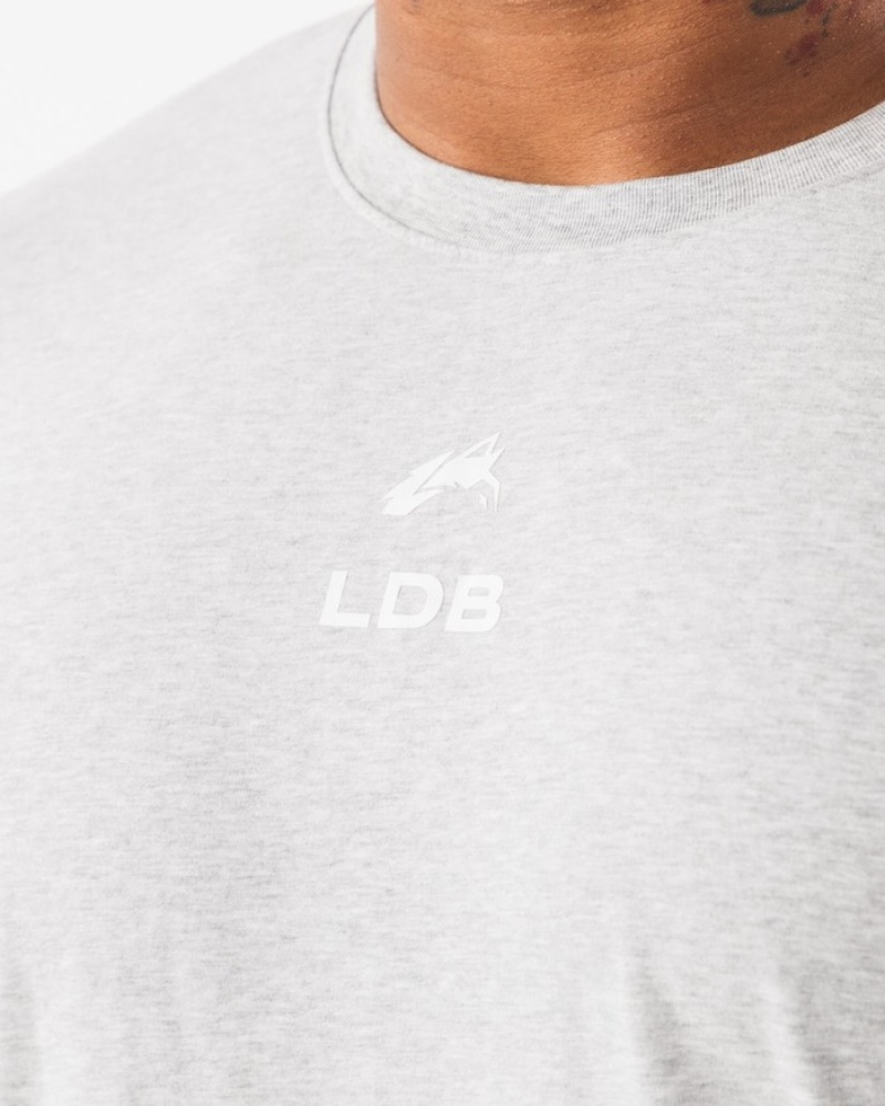 Alphalete Brushed Crest Overhemd Heren Grijs | 46PRSJLTF